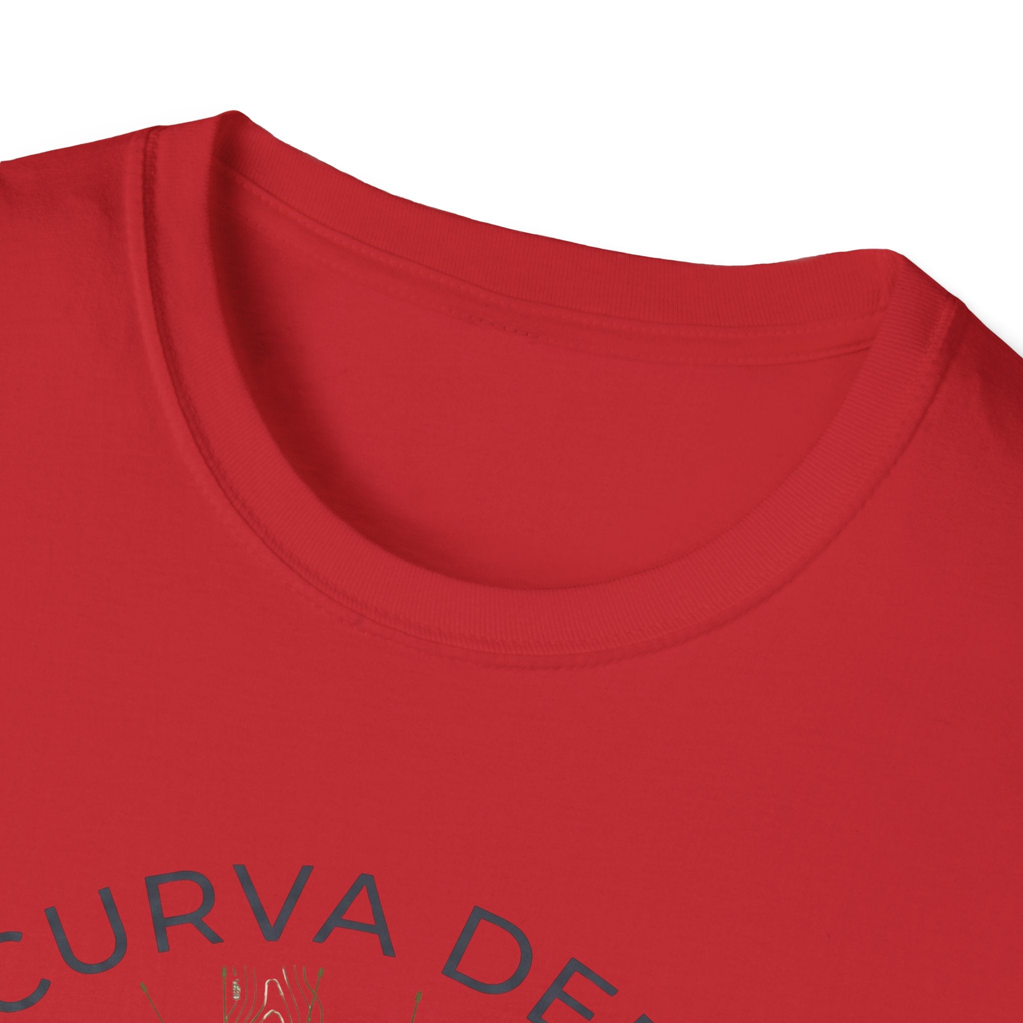 Hub schematic  — Trail Culture Tee | Curva Department