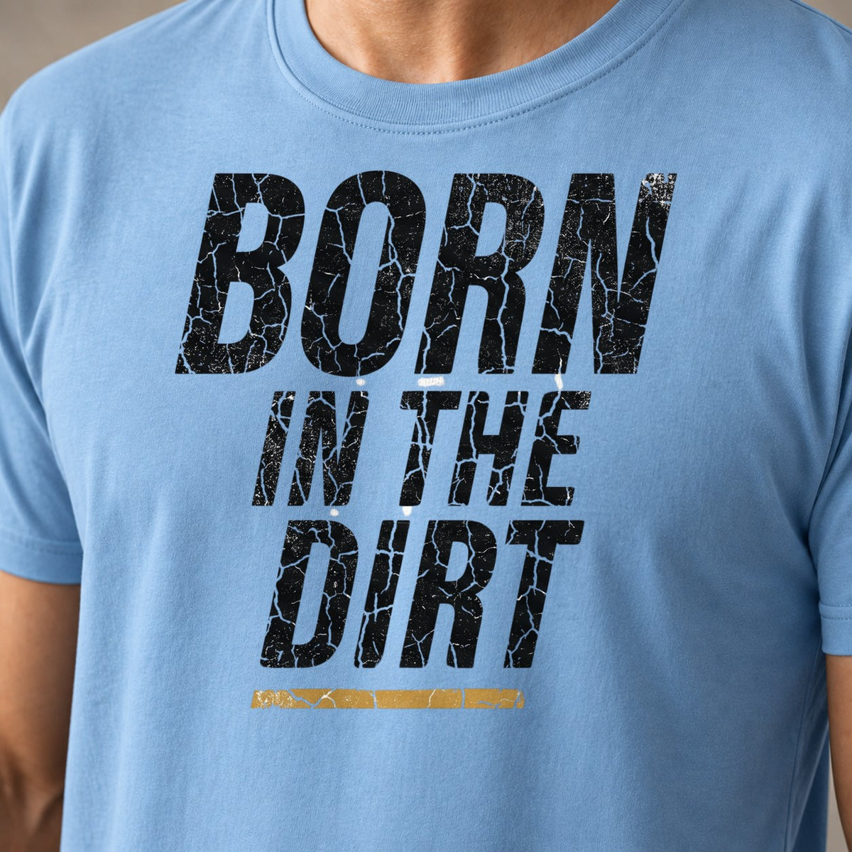 Dirt Distressed funny mountain bike t-shirt in Light Blue — close-up of the print